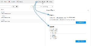 import-export-profiles